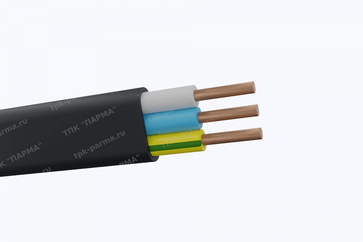 Фотография провода Кабель ВВГ-Пнг(A)-LS 2х4 - 1кВ